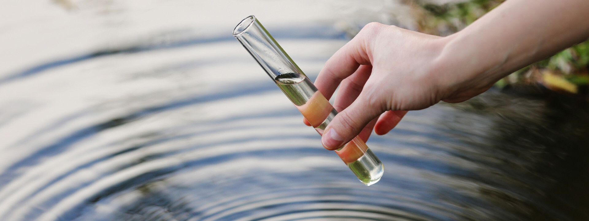 Contaminants of Concern
